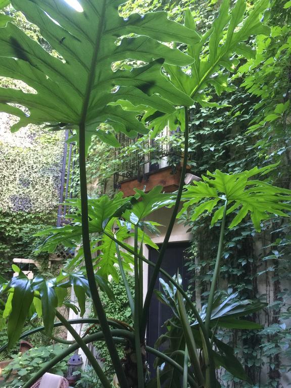 Sir Montcalm Gite B&B Montreal Bagian luar foto